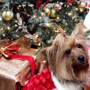 Meet your Posher, Isabella